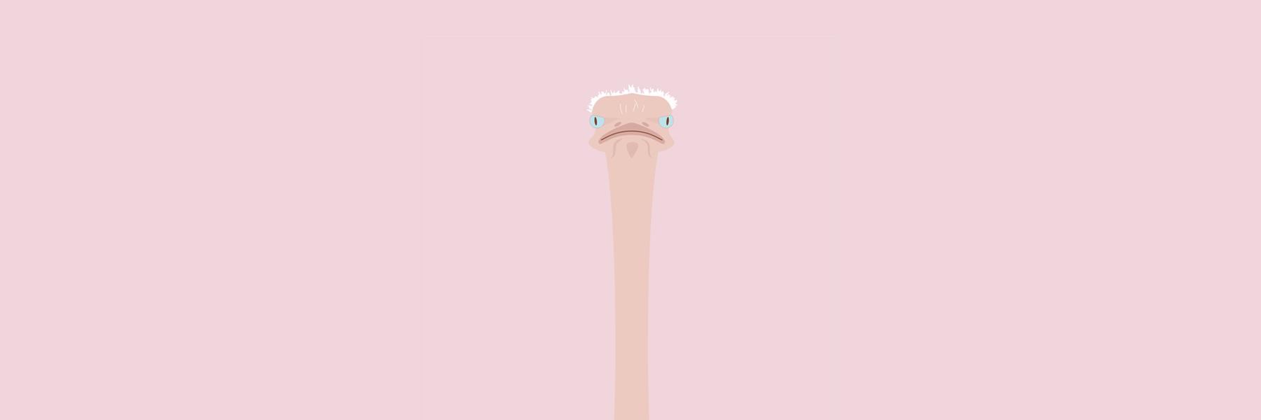 DesignByGoats's profile banner image