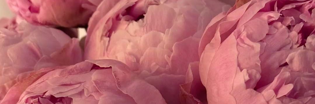 daysjg_'s profile banner image