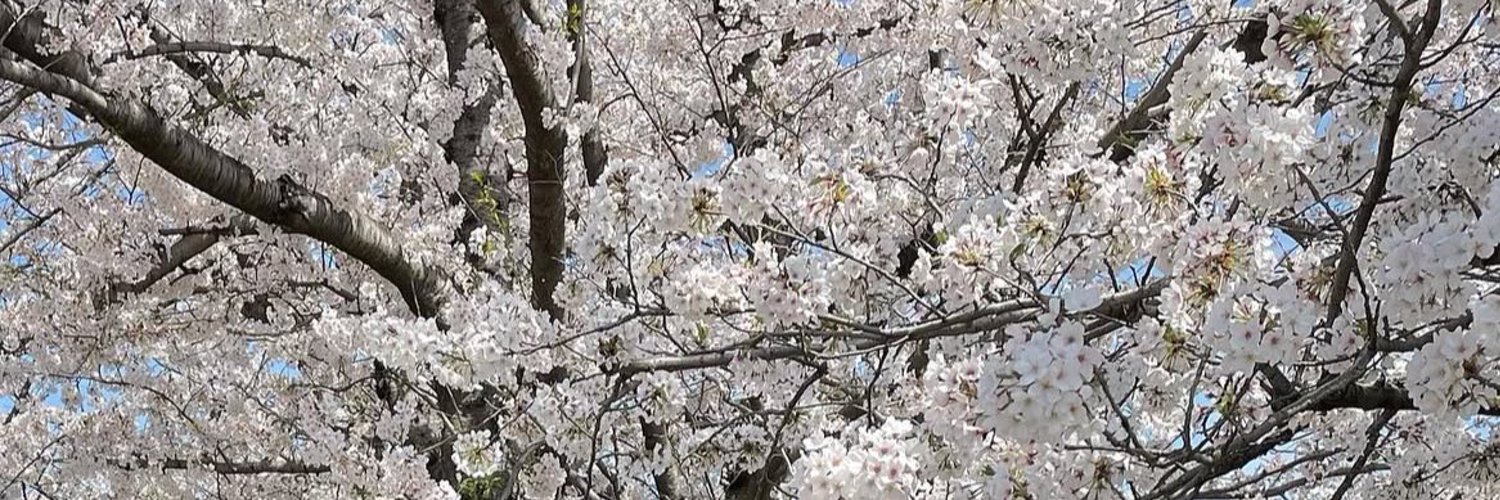 sierras796's profile banner image