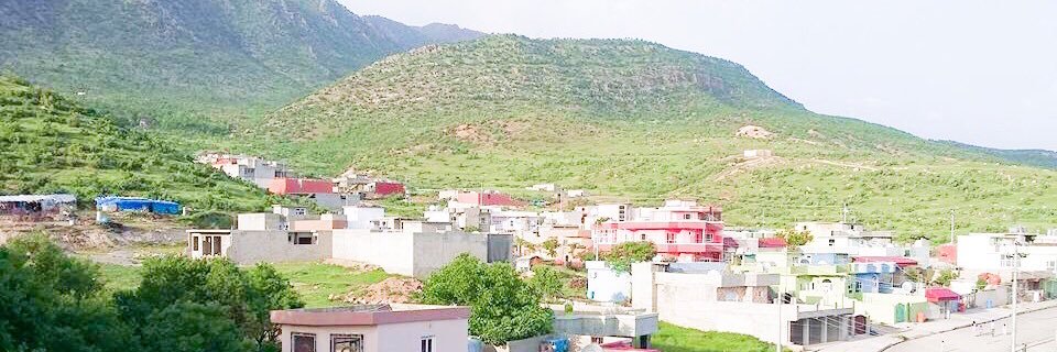 زيرفان قدشي banner