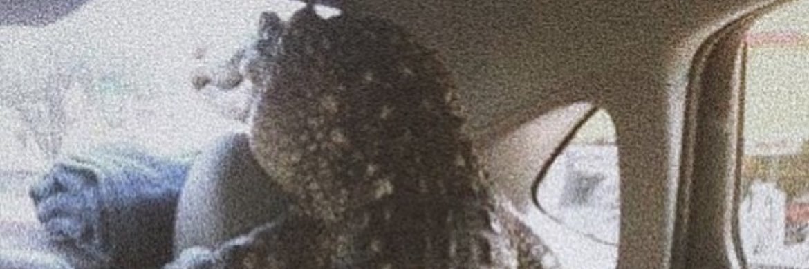 aLoisis_'s profile banner image