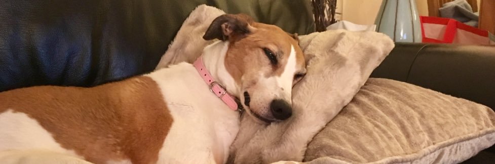 MandyyWilson's profile banner image