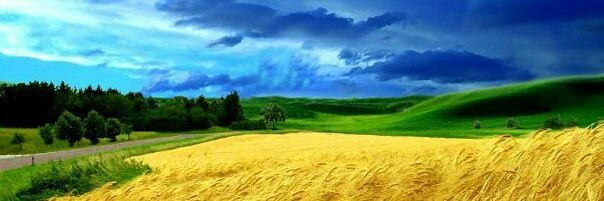 Анастасия Бурдюг banner