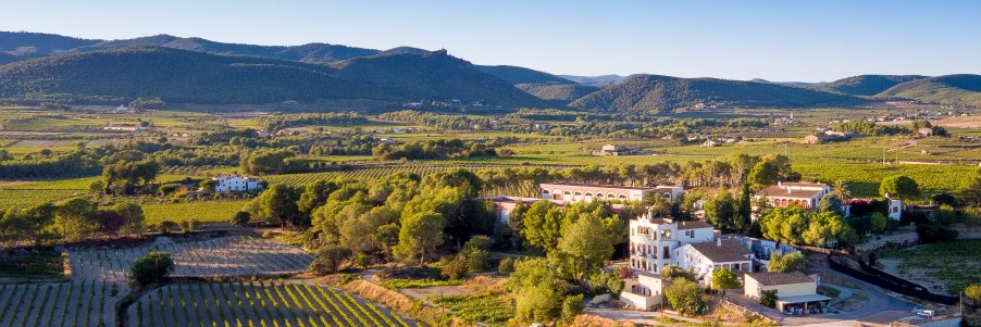 Castellví de la Marca banner