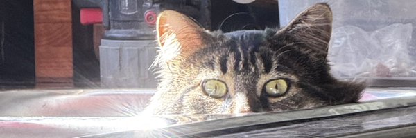 denicepepe Profile Banner