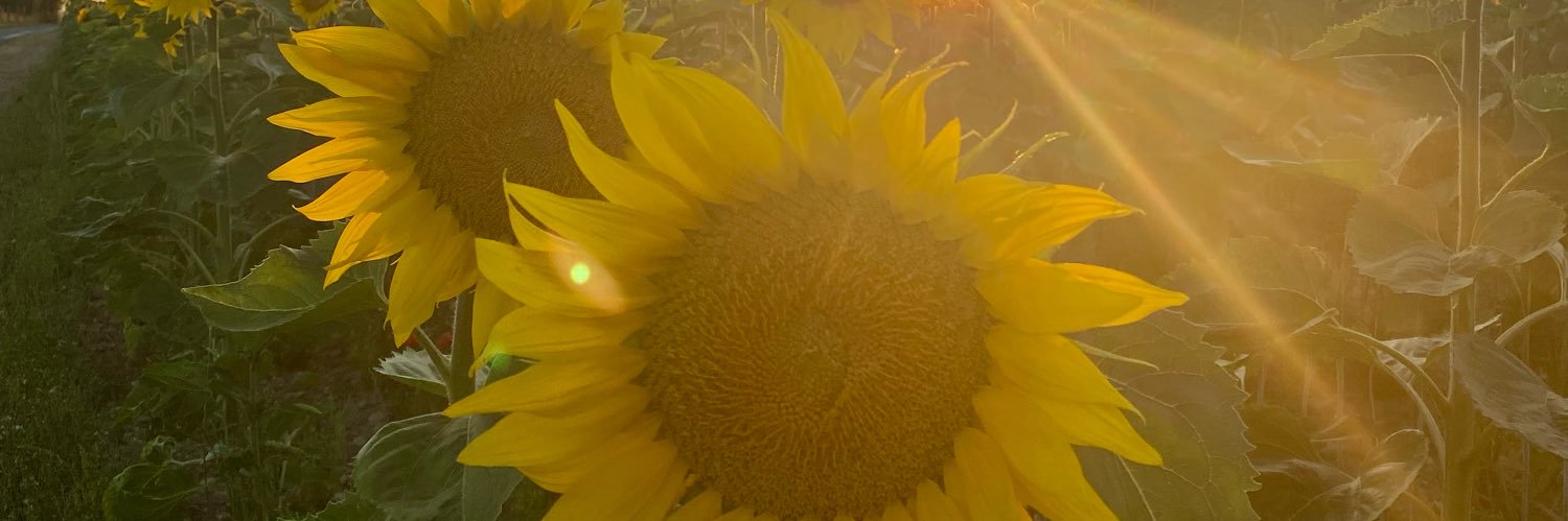 kimhareau's profile banner image