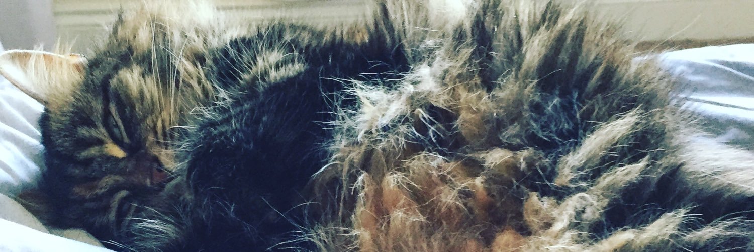 izzymcfizz's profile banner image
