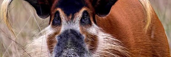 ThisAccountName's profile banner image