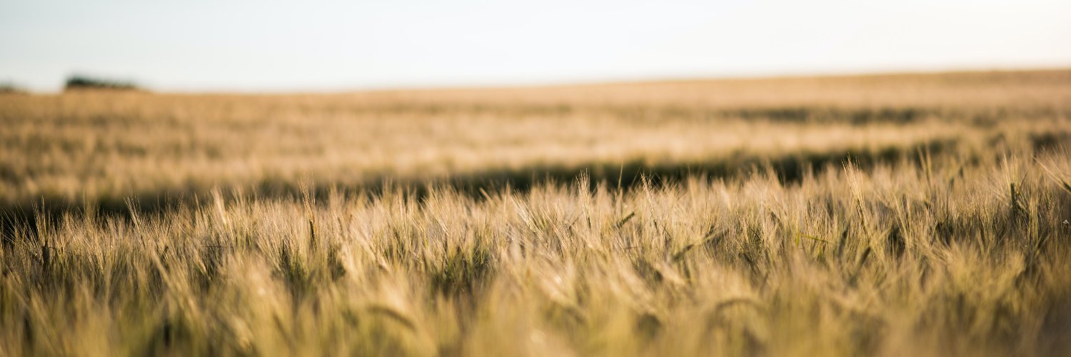 Vincent Gauthier banner
