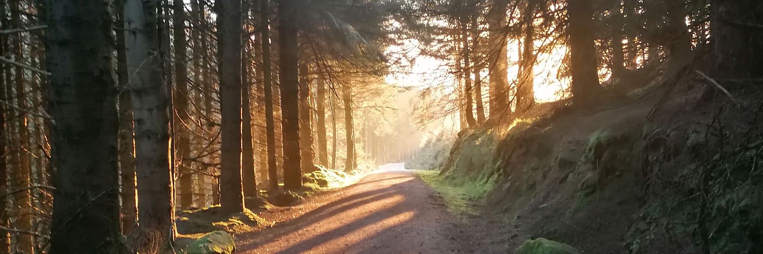 Garvan Gallagher banner