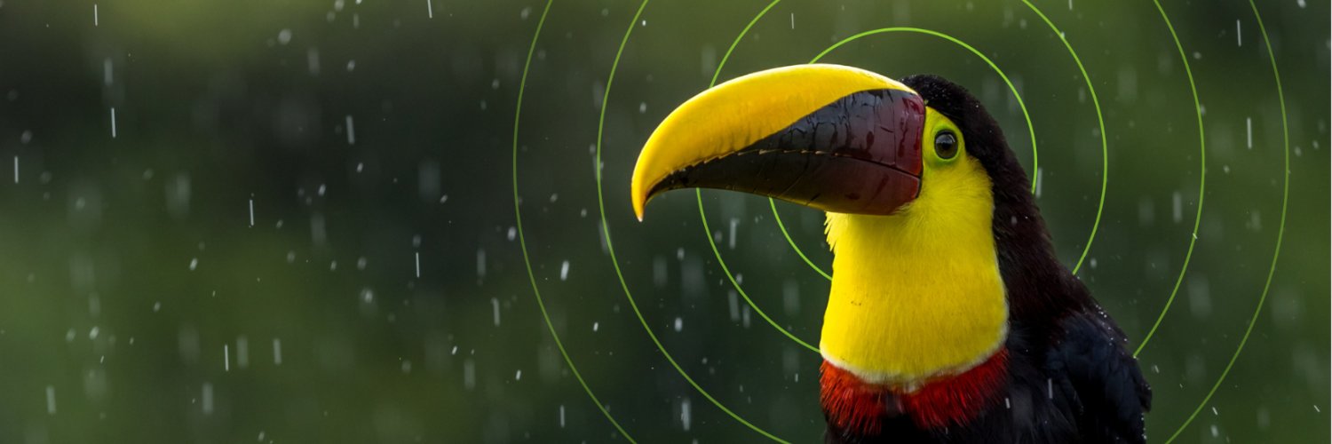 ARBlMON's profile banner image