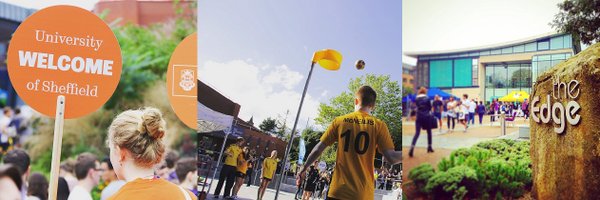 shefintro17 Profile Banner