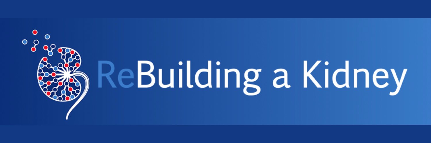 (Re)BuildingaKidney banner