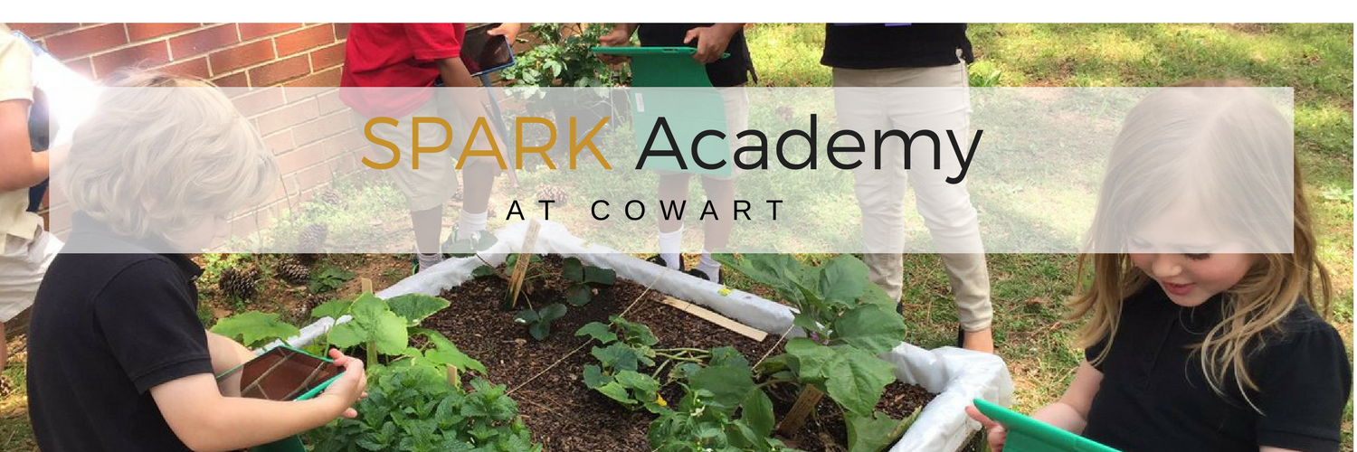 SPARK Academy banner