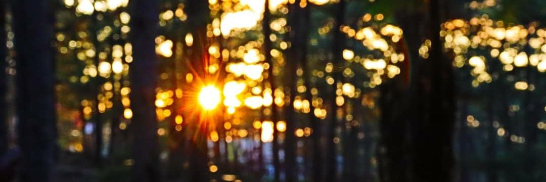 takamazing's profile banner image