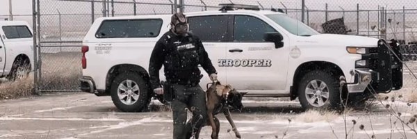NSP_DogDivision Profile Banner