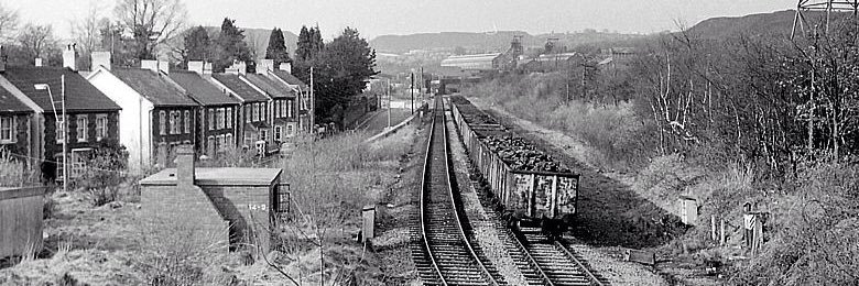 Mrs R McCarthy banner
