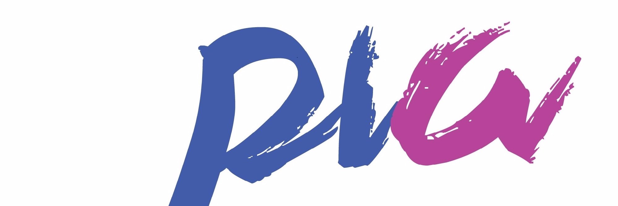 PIAragonesa banner