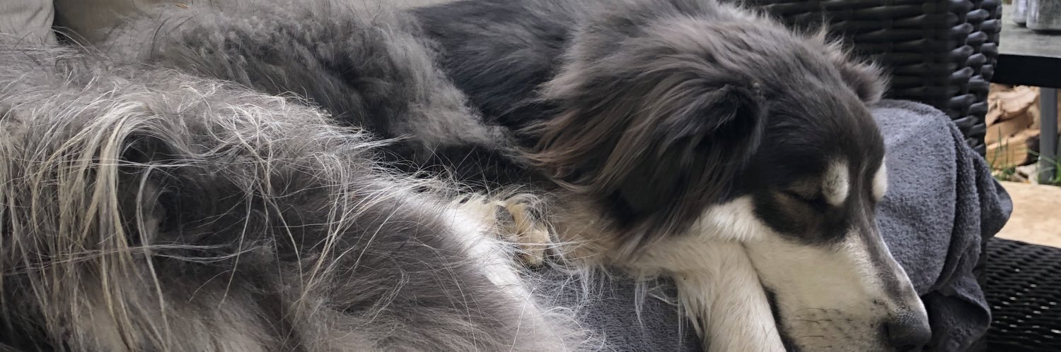 loki7978's profile banner image