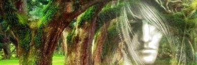 Druida2011's profile banner image