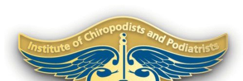 IOCP_Chair's profile banner image