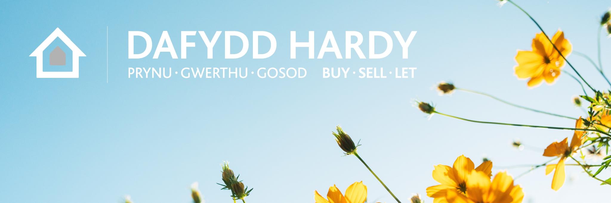 DafyddHardy's profile banner image