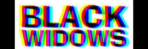 Black Widows banner