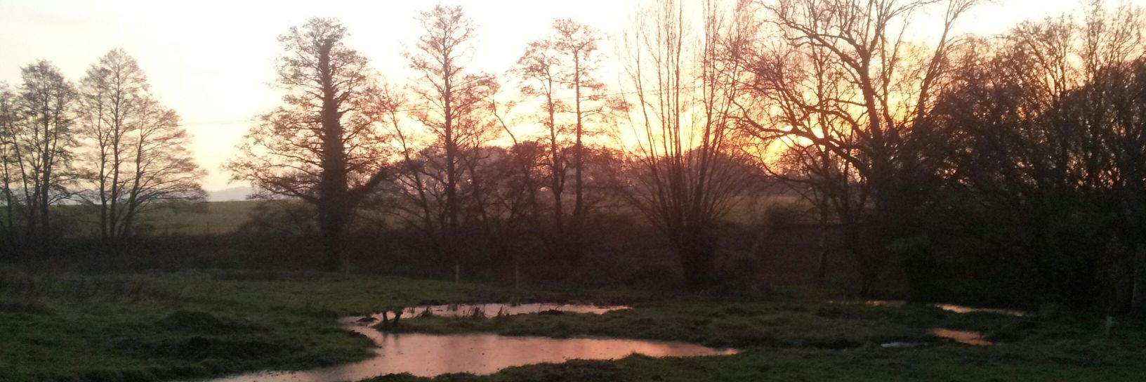 Tony Whitbread banner