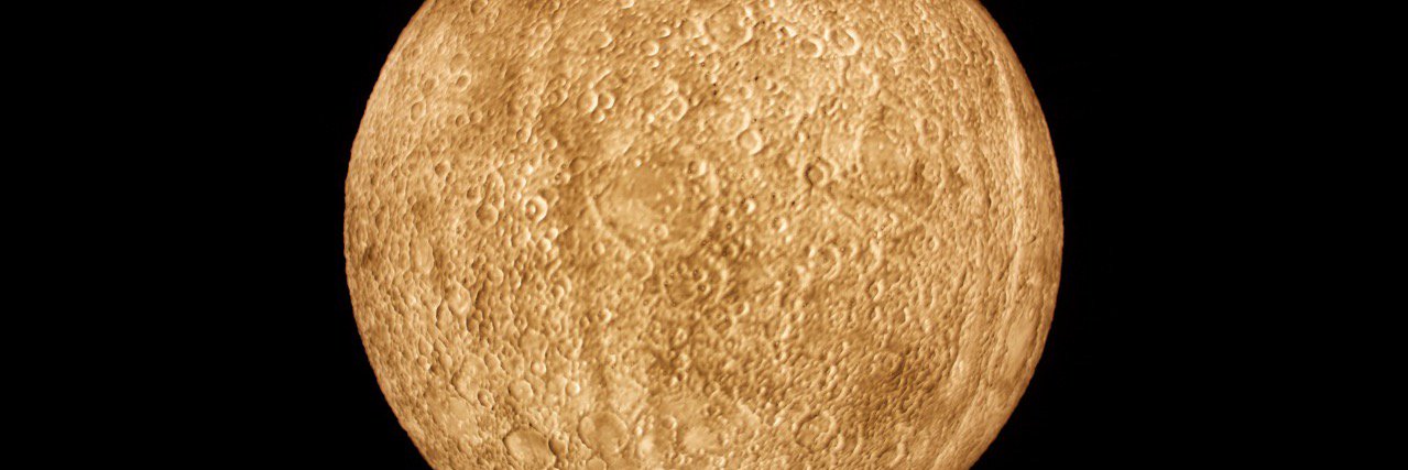 Lucy Sheerman banner