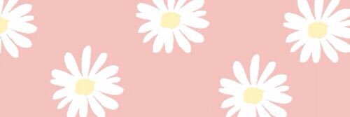 AliciaaSv's profile banner image