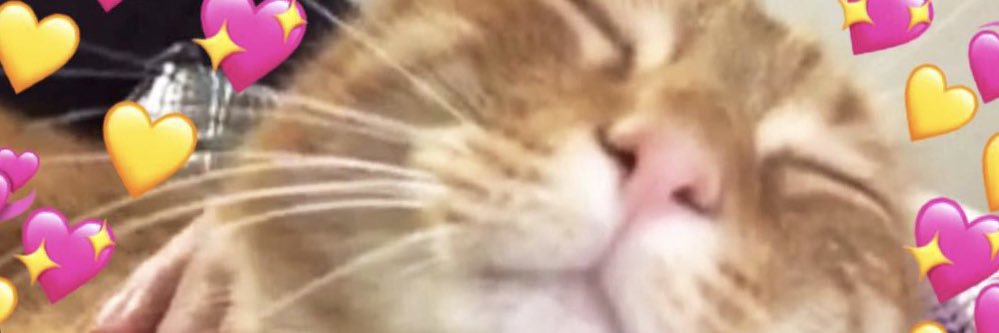 PaigeIsaac1's profile banner image