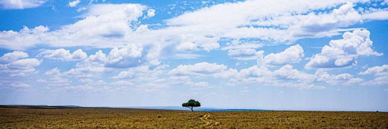 AlexRiguillo's profile banner image