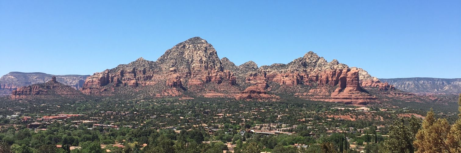 Rose 🇪🇺 banner