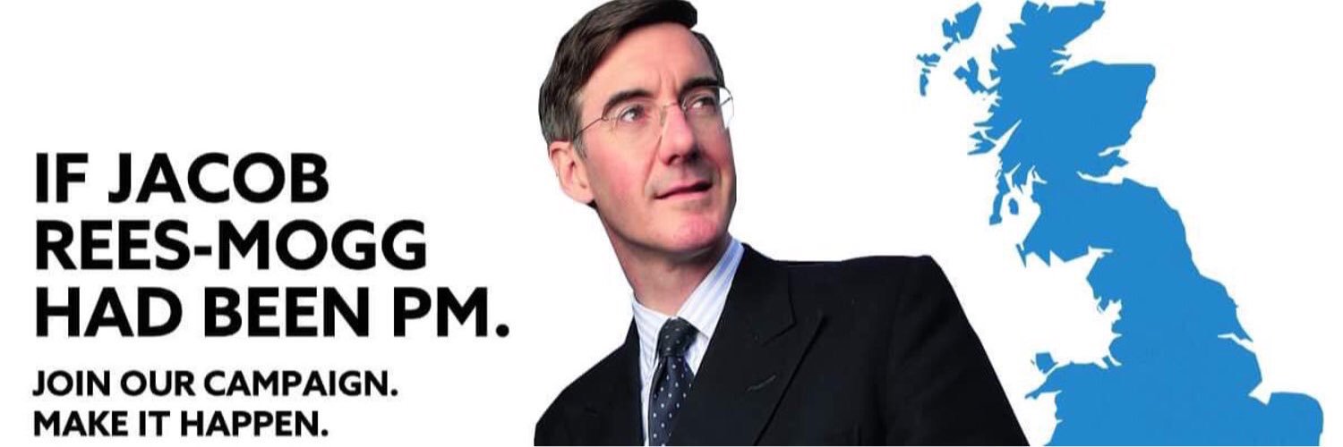 Moggality's profile banner image