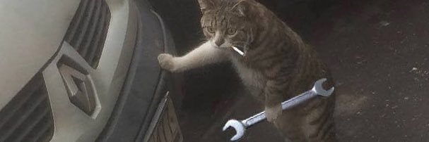 Jonathan Falcon banner