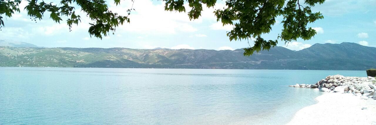 Ahmet tekin banner