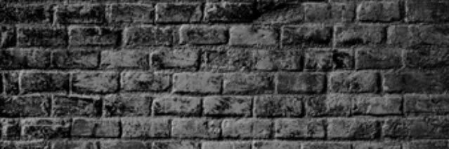 EleonoraGinger's profile banner image