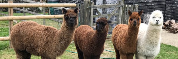 EmmWalkerHCS Profile Banner