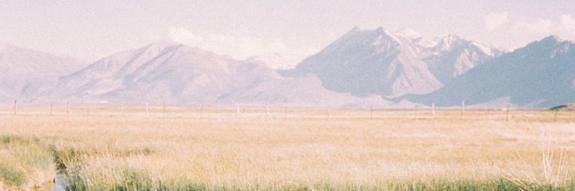 olfdb's profile banner image