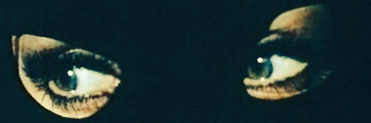 seashelllbee's profile banner image