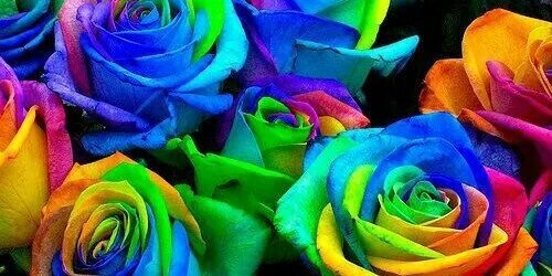 Mandy_Allan's profile banner image