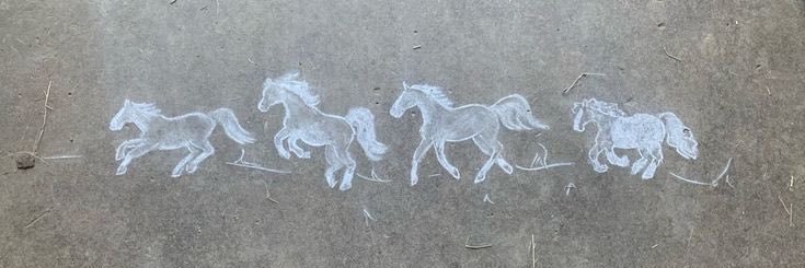 silverrrsprings's profile banner image