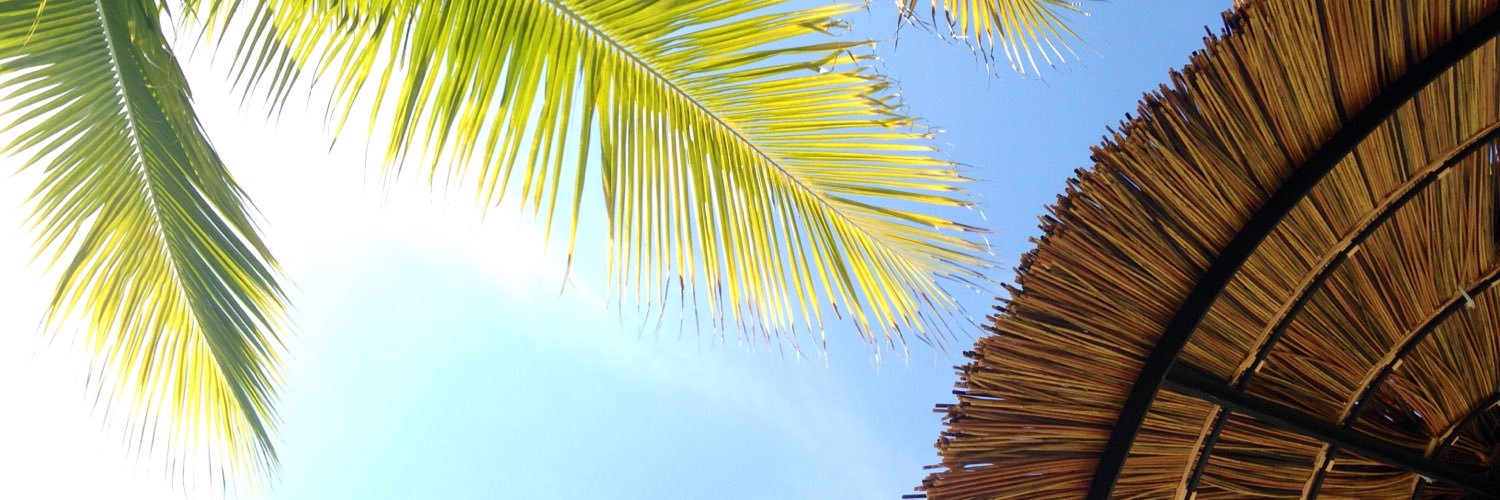 nashenfelder's profile banner image