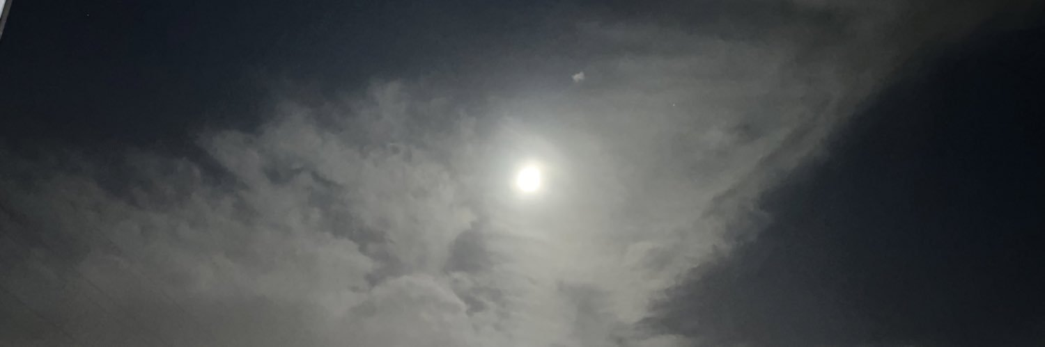 Rvy66X's profile banner image