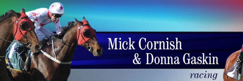 Donna Gaskin Racing banner