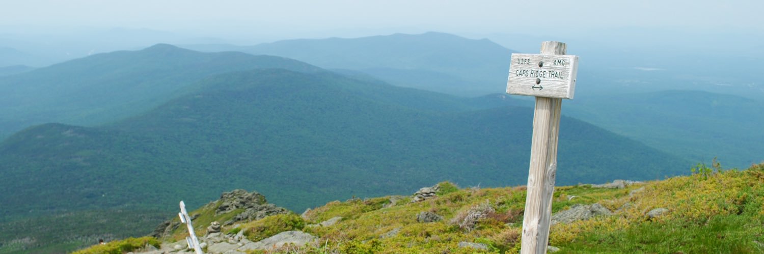 Roger Levasseur banner