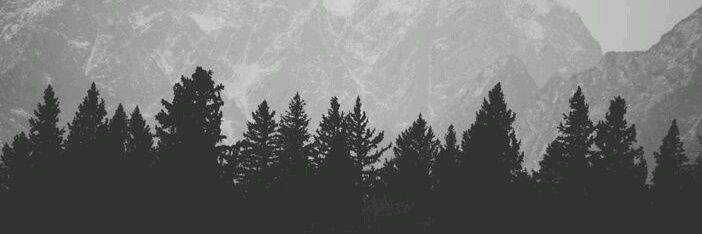 HolleyWolf's profile banner image