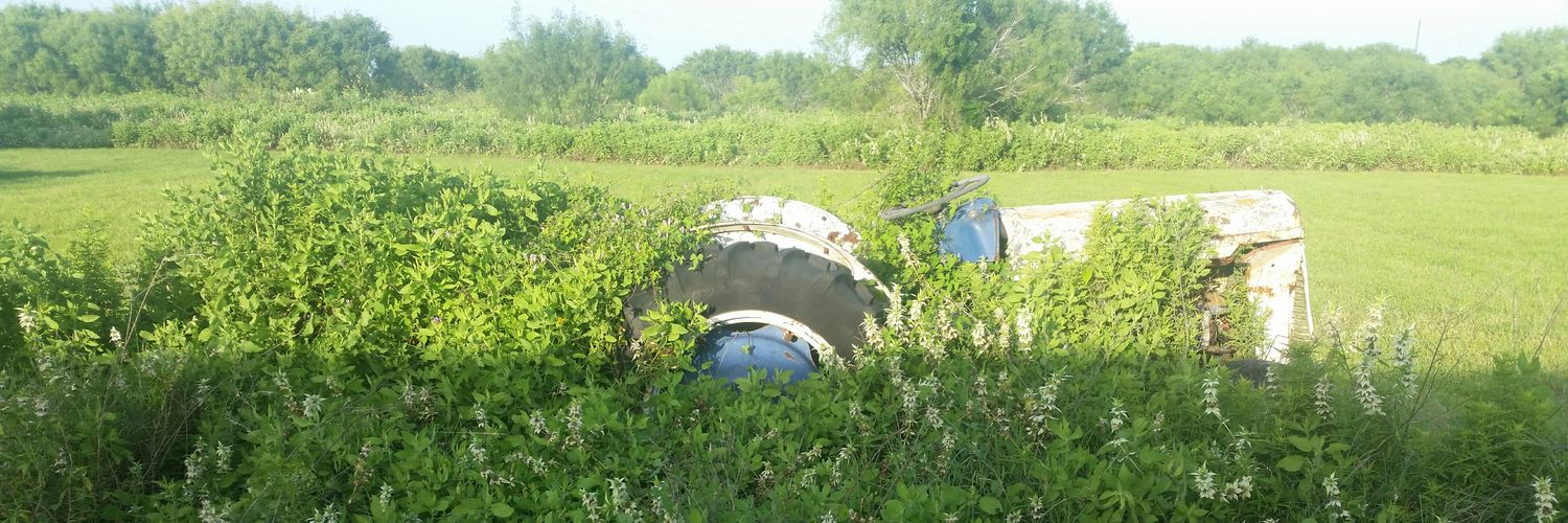 The Deviztator banner