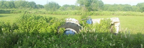 TheDeviztator Profile Banner