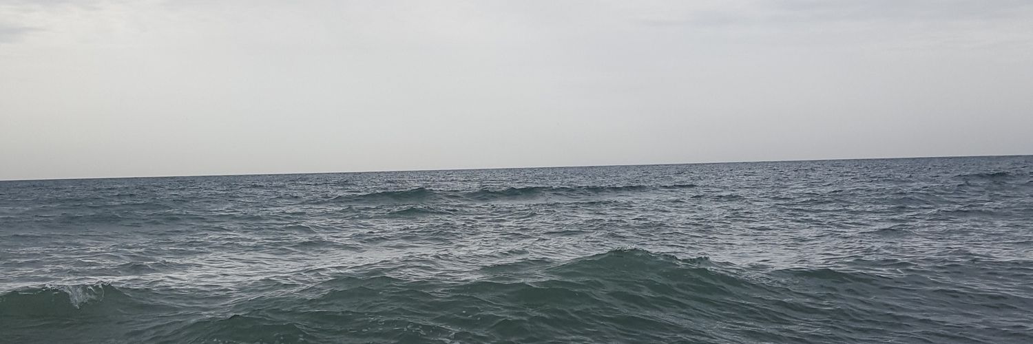 LpMaite's profile banner image